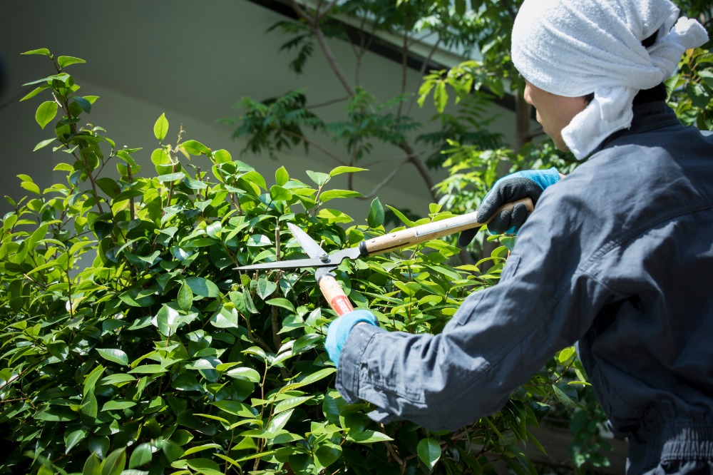 除草・草刈り（大田区）