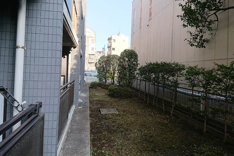 施工後の庭木（大田区の植木屋いぶき苑）
